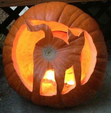 Pumpkin Carving Ideas With The cats arsehole has a halo