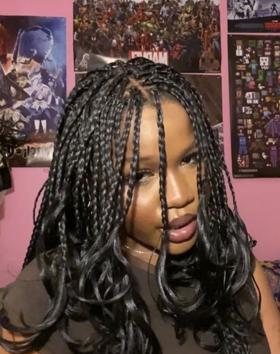 French Box Braids   Protective Hairstyles