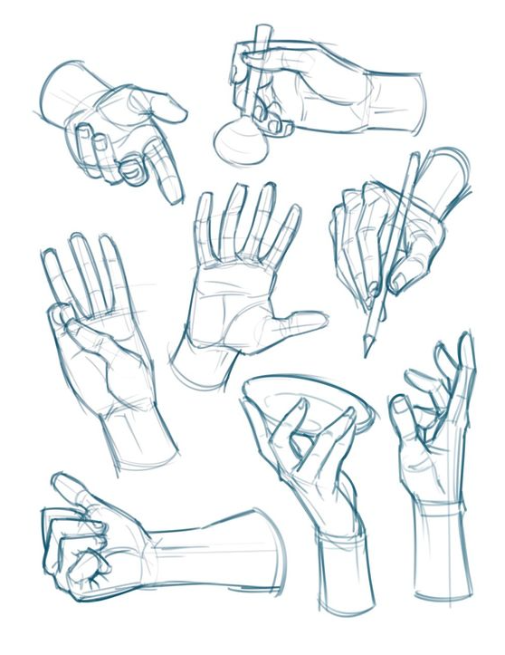 Hand References Drawing   Figure Drawing Reference