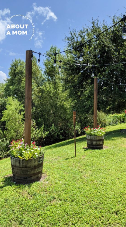 Planters With Poles For Lights   DIY Planter With Pole For String Lights