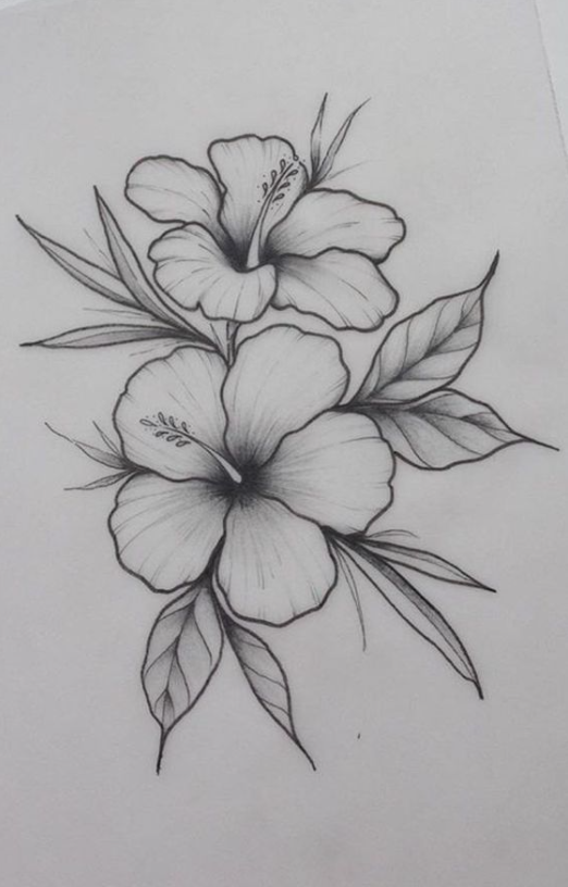 Some Drawing Ideas   Easy Flower Drawings