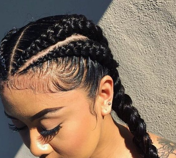 Hair Braids   Trendy And Traditional African Braids Styles For Every
