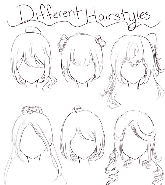 Hair Drawing Reference   The Illustration Different Types Of