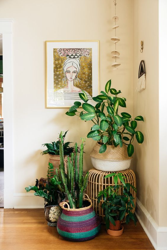 Living Room Plants Decor   Eclectic Living Room
