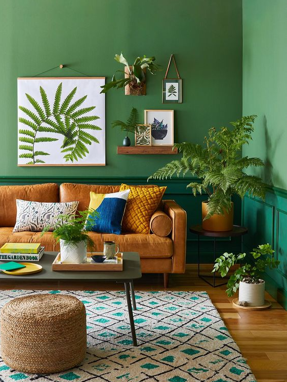 Living Room Plants Decor   Green Living Room Ideas With Refreshing