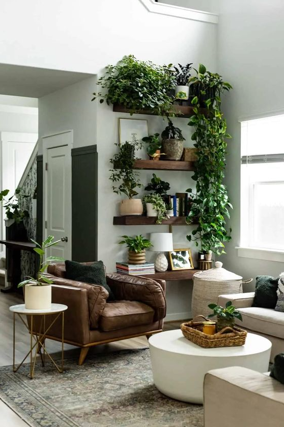 Living Room Plants Decor   Plant Wall Shelf Ideas