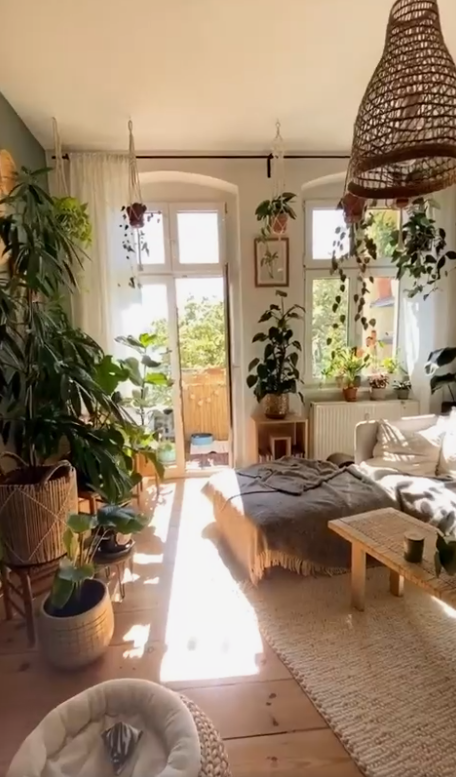 Living Room Plants Decor   Relief Home Interior Decor With Houseplants