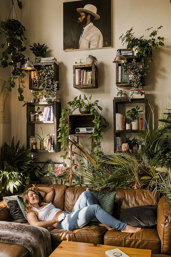 Living Room Plants Decor   The New Plant Parent’s
