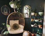 Living Room Plants Decor - Whimsigothic home decor inspiration