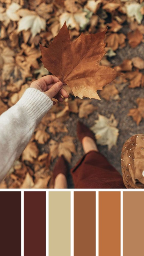 Autumn Color Palette   Brown Autumn Leaf Color Autumn Color Inspiration