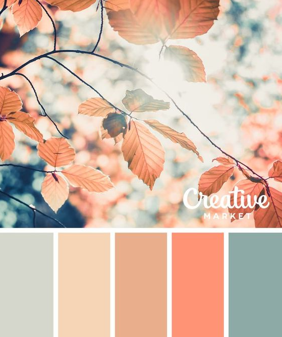Autumn Color Palette   Color Palette Design