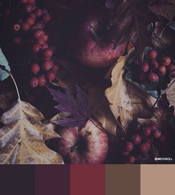 Autumn Color Palette   Fall Fruits Color Palette