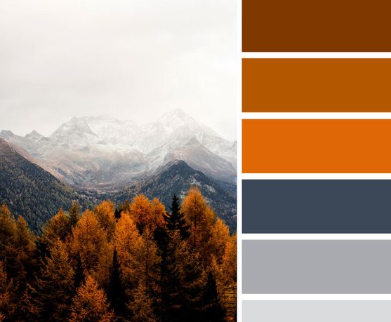 Autumn Color Palette   Pretty Autumn Color Schemes Smokey Burnt Orange Color