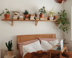 Bedroom With Desk - Neutral bohemian bedroom with ochre accents, plants and books
