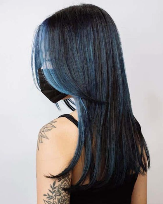 Hair Colors   Best Blue Highlights On Black Hair