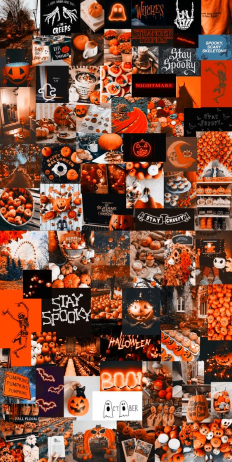 Fall Background   October Halloween Screensaver