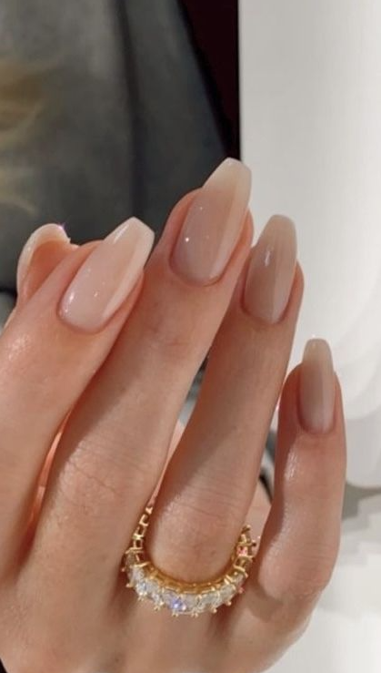 Nails One Color   French Tip  Glitter Nude Winter  January