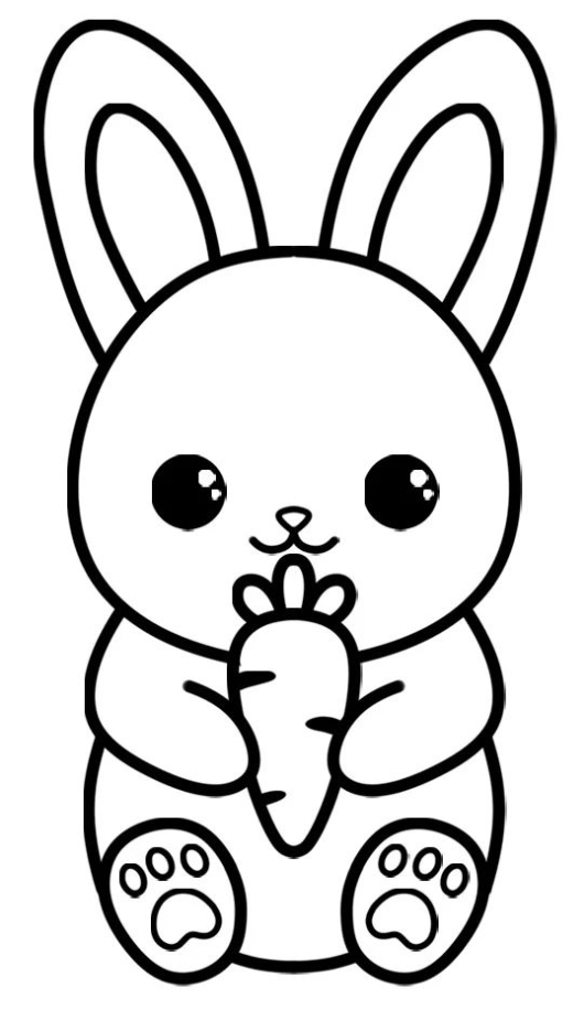 Drawing Step By Step   How To Draw A Bunny Step By Step Instructions