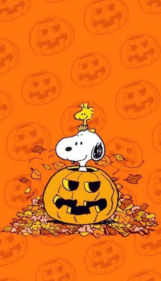 Fall Backgrounds Iphone   Snoopy Halloween Wallpaper