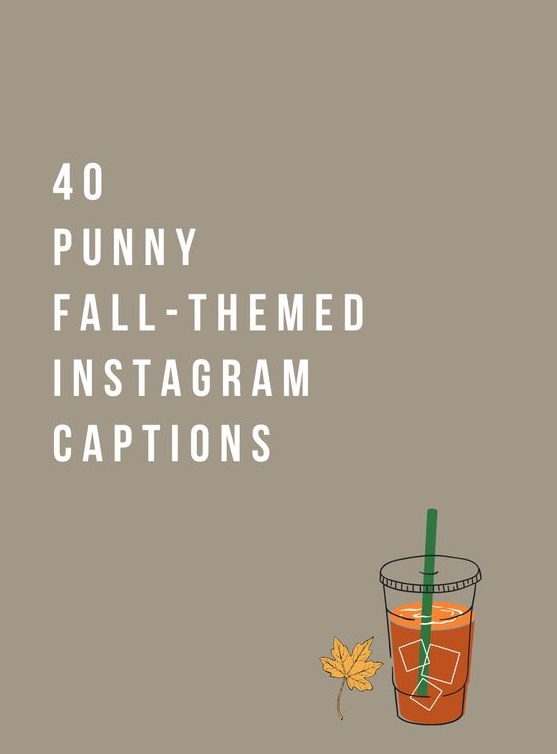 Fall Board Ideas   Punny Fall Themed Instagram