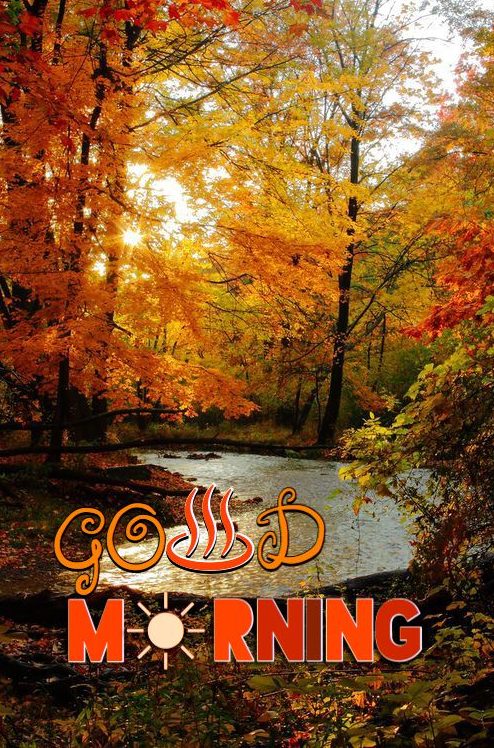 Good Morning Fall Images   Good Morning Flowers Quotes