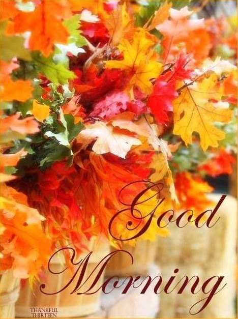 Good Morning Fall Images   LoveThisPic Offers Good Morning Pictures