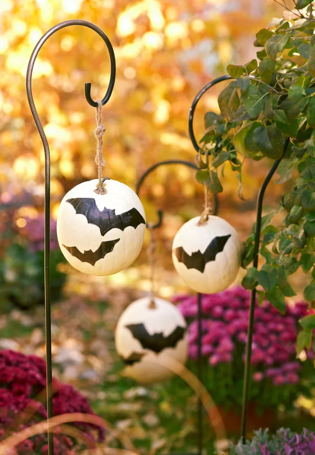 Painted Pumpkin Ideas   Miniature Bat Pumpkins