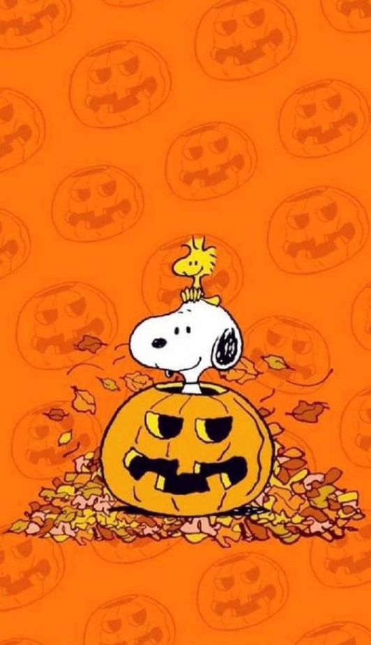Snoopy Fall Wallpaper   Snoopy Halloween