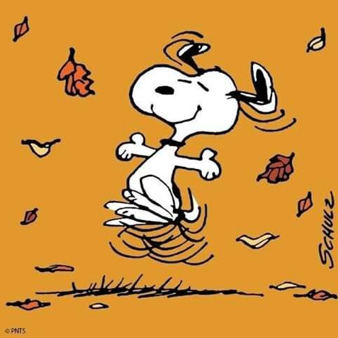 Snoopy Fall Wallpaper   Snoopy  Snoopy Drawing Thanksgiving