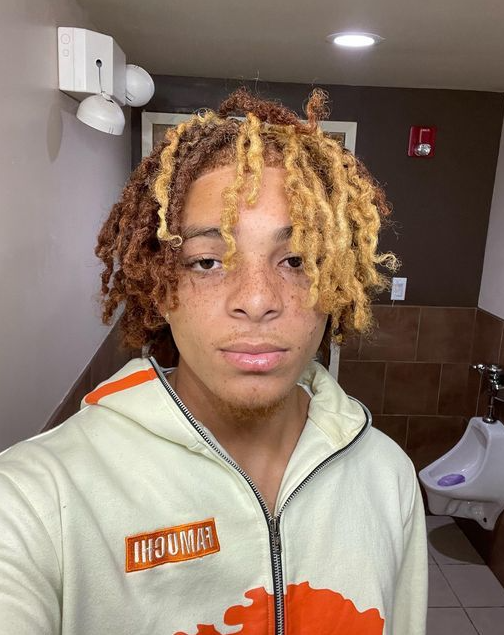 Dyed Locs Ideas   Dyed  Men  Color For Black