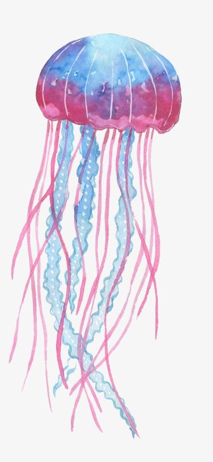 Marine Life Drawing   Blue Jellyfish PNG Transparent Blue Pink Jellyfish Jellyfish Clipart Marine Life Sea Creatures PNG Image