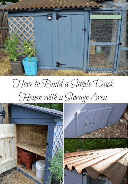Diy Duck Enclosure Ideas   Build An Easy To Clean Duck Coop With Attached Storage Duck House Diy Duck Coop Backyard Ducks Duck House Duck House Plans Coop