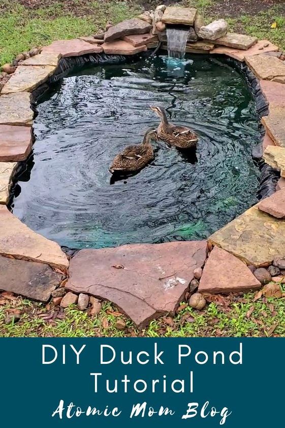 Diy Duck Enclosure Ideas   DIY Duck Pond Duck Pond Diy Ponds Backyard Ponds Backyard Diy Pond Backyard Ducks Duck House Diy
