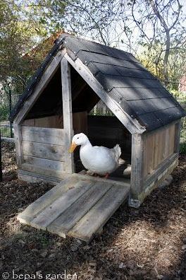 Diy Duck Enclosure Ideas   Free Diy Duck House Duck House Plans Duck House Duck Coop Chickens Backyard Duck House Diy Backyard Ducks
