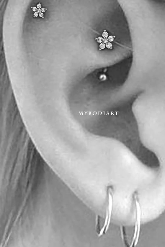 Rook Piercing Jewelry   Earings Piercings Body Jewelry Piercing Pretty Ear Piercings Piercing Jewelry Barbell Piercings Ear Jewelry