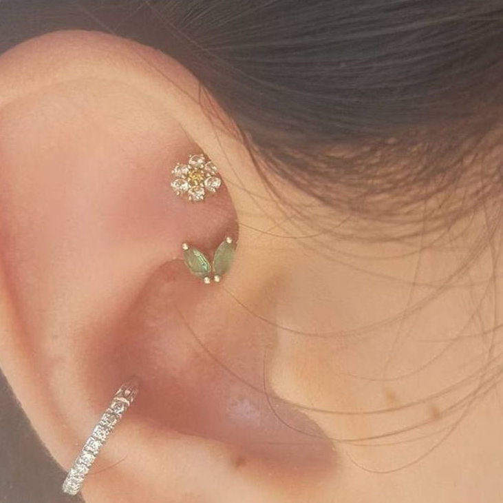 Rook Piercing Jewelry   Earings Piercings Minimalist Ear Piercings Body Jewelry Piercing Ear Jewelry Pretty Ear Piercings Cool Ear Piercings