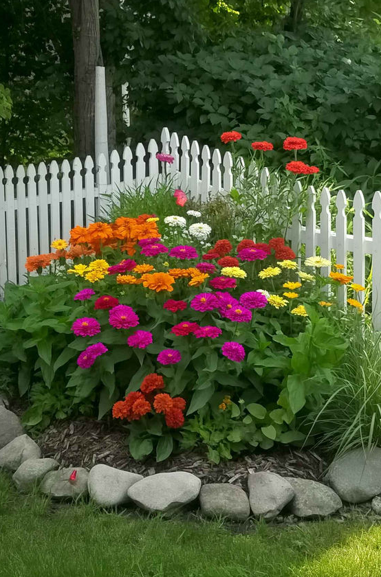 Plant   Corner Garden Ideas Designs To Refresh Your Outdoors Garden Planning Beautiful Flowers Garden Cottage Garden Backyard Garden Landscape Backyard Flowers Beds