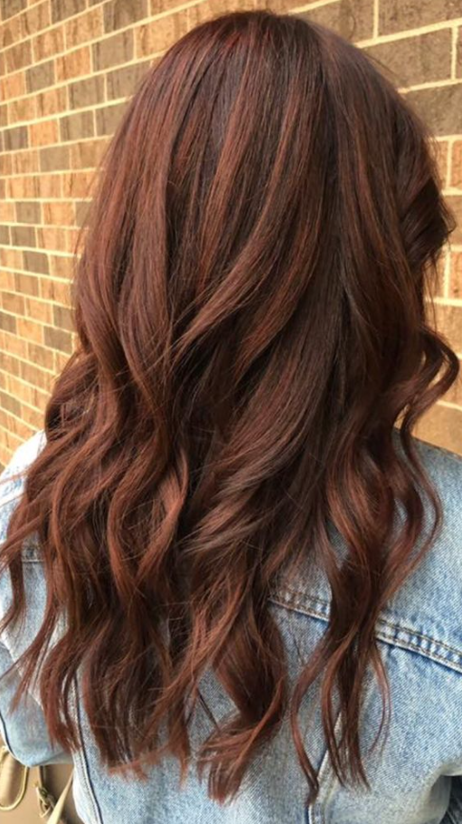 Hottest Dark Auburn Hair Color Ideas To Consider This Year Brown Auburn Hair Maroon Hair Dark Auburn Hair Hair Color Auburn Red Brown Hair Color Red Brown Hair