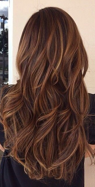 Long Hair Styles Colored Hair Tips Hair Styles Hair Hot Hair Colors Brown Hair Colors