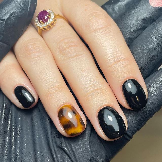 Tortoiseshell And Black