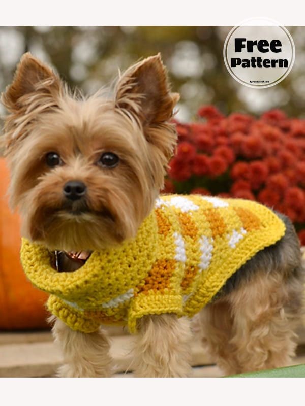 Amazing Dog Crochet Ideas