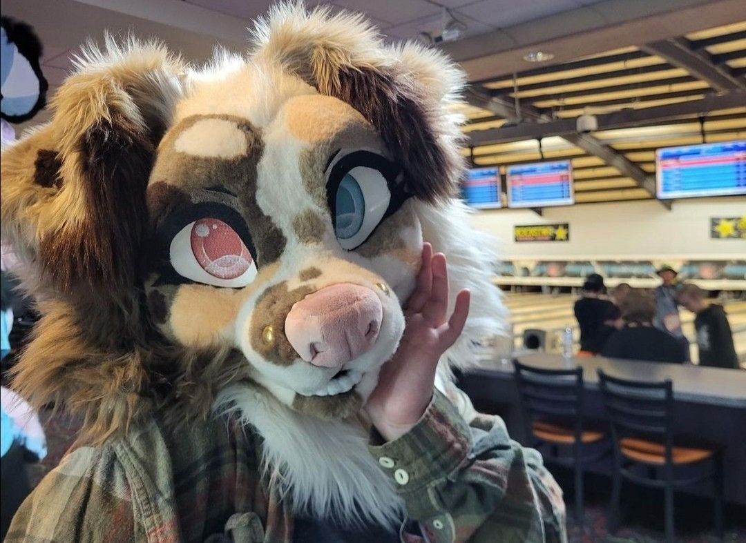 Amazing Fursuit Head Inspiration