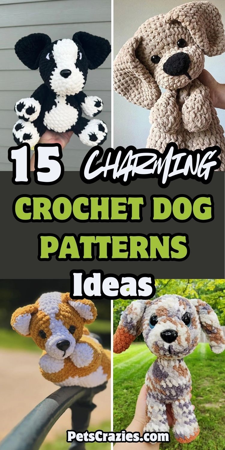 Classy Dog Crochet Photo