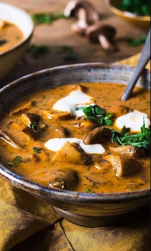Soup Recipes With Hungarian Mushroom Soup