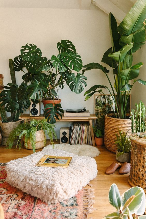 Déco Intérieure With Déco voici comment pimper son salon avec des plantes XXL selon Pinterest