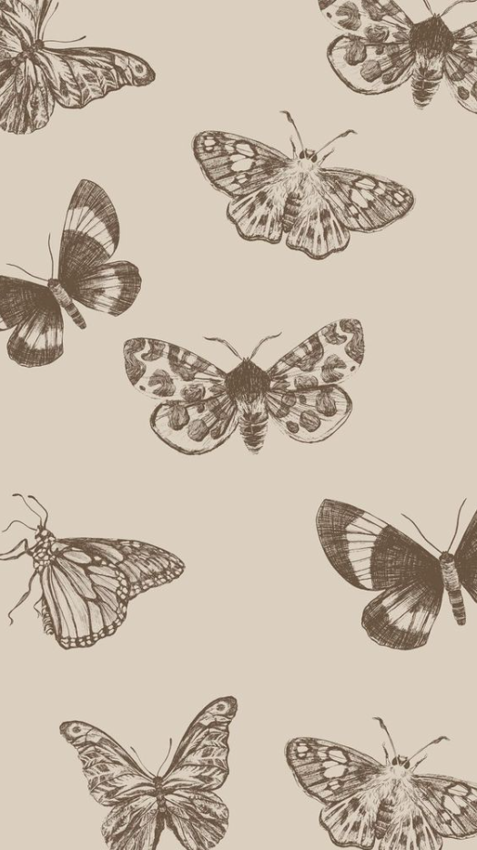 Iphone Wallpaper Aesthetic - Butterfly Iphone Wallpaper Aesthetic
