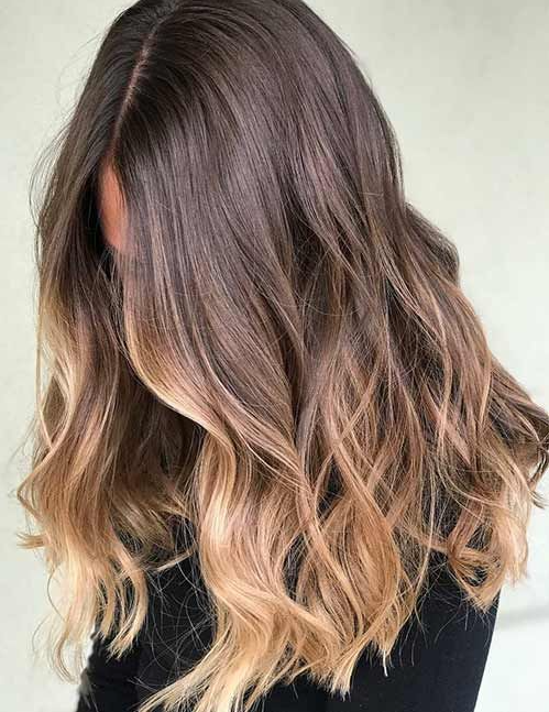 Hair Color  For Blondes   Amazing Brown To Blonde Hair Color