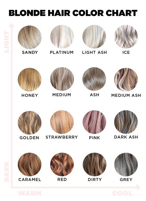 Hair Color Ideas For Blondes   Use This Blonde Hair Color Chart To Find Your Best