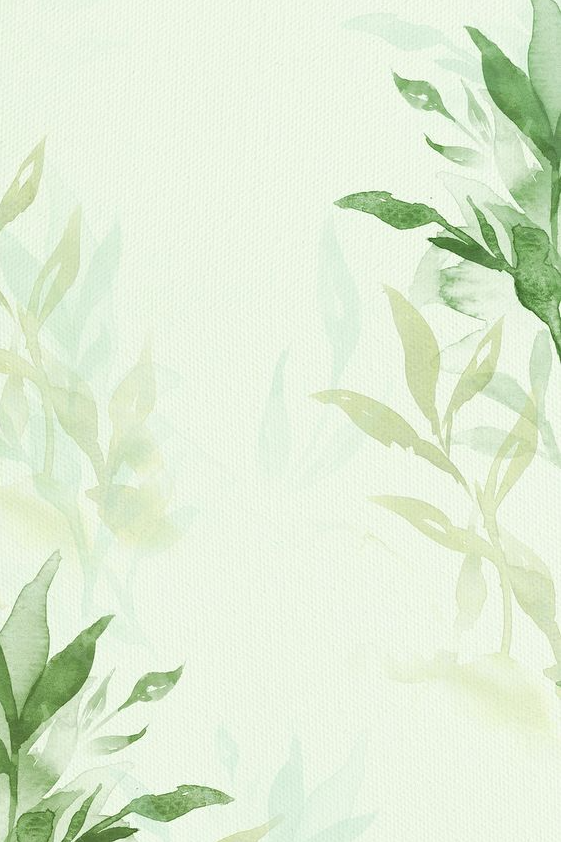Spring Background   Download Premium Image Of Spring Floral Border Background In Green With Leaf Watercolor Illustration