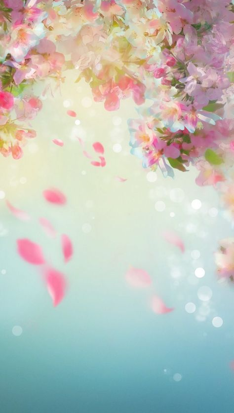 Spring Background   Spring Wallpapers For IPhone   Best Spring Backgrounds